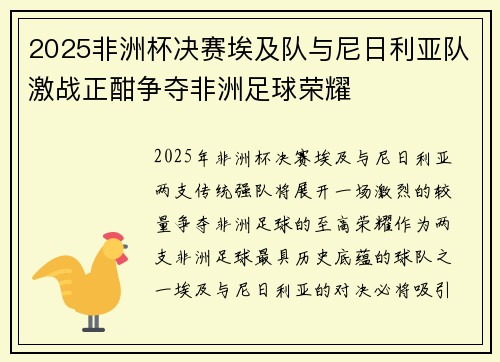 2025非洲杯决赛埃及队与尼日利亚队激战正酣争夺非洲足球荣耀