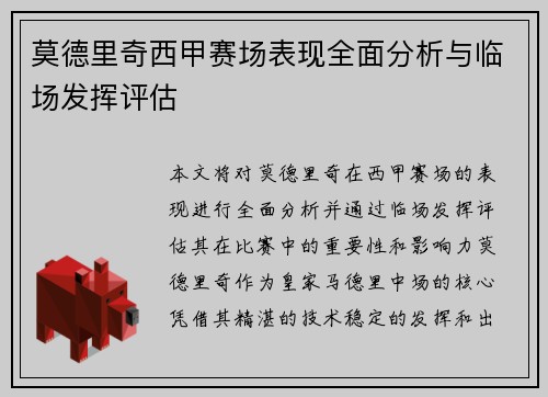 莫德里奇西甲赛场表现全面分析与临场发挥评估